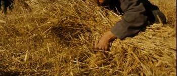 Bai lu yuan (2011) download