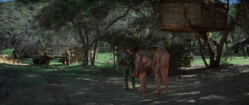 Battle for the Planet of the Apes (1973) download