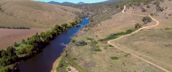 Beauty from Pain (2025) download