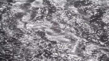 Becoming Cary Grant (2017) download