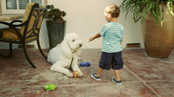 Big Baby (2015) download