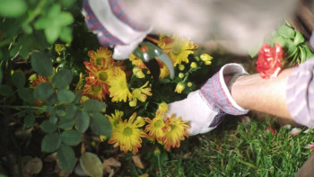 Big Baby (2015) download