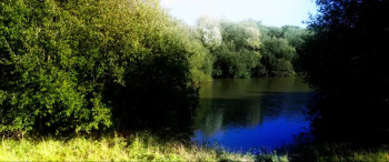 Bikini Shark (2025) download