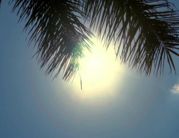 Billy Connolly: It's Been a Pleasure (2020) download