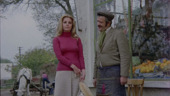 Bir Garip Yolcu (1973) download