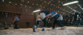 Bisons (2024) download