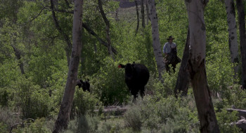 Bitterbrush (2021) download