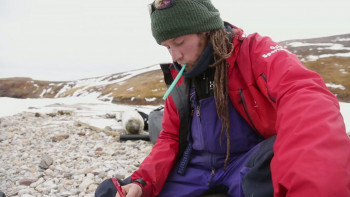 Bjørnøya (2014) download