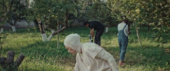 Black Rabbit, White Rabbit (2025) download