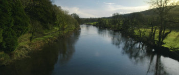 Blackbird (2018) download