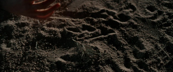 Blood Star (2024) download