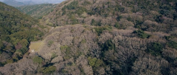 Bloody Chainsaw Girl Returns: Revenge of Nero (2019) download