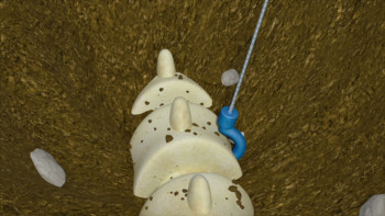 Bob the Builder: Big Dino Dig (2011) download