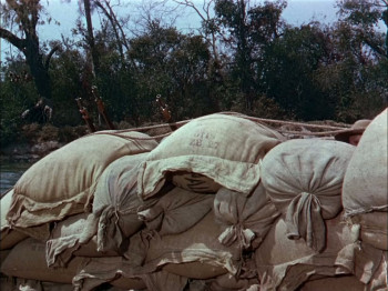 Brave Warrior (1952) download