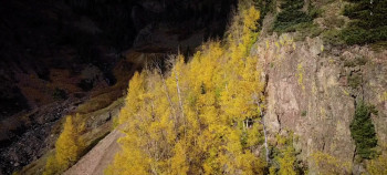 Bright Sky (2025) download