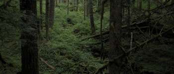 Buddymoon (2016) download