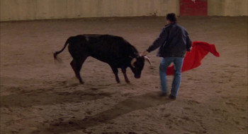 Bullfighter (2000) download