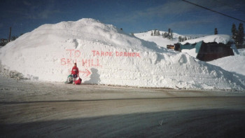 Butterfly in a Blizzard (2025) download