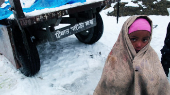 Camera Trap (2014) download