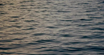 Candlewood (2025) download