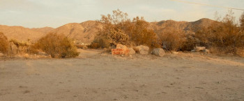 Cannibal Comedian (2023) download