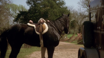 Carried Away (1996) download