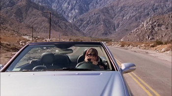 Cat City (2008) download