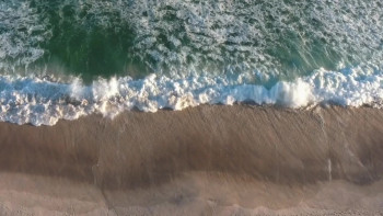 Cherry Grove Stories (2018) download