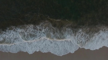 Cherry Grove Stories (2018) download