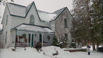 Christmas on the Alpaca Farm (2023) download