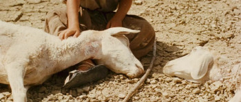 Chronicle of the Years of Fire (1975) download