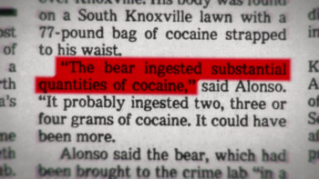 Cocaine Bear: The True Story (2023) download