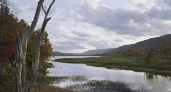 Come Home (2023) download