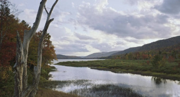 Come Home (2023) download