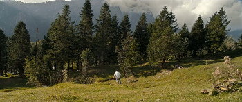 Commando (2013) download