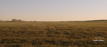 Comuneros (2022) download