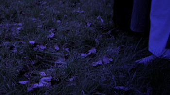 Crawlies (2023) download