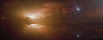 Crocodile Swarm (2023) download