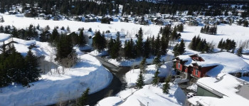 Curtains for Christmas (2024) download