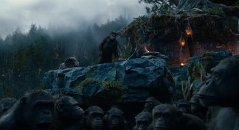 Dawn of the Planet of the Apes (2014) download