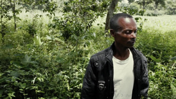 Dead Donkeys Fear No Hyenas (2017) download