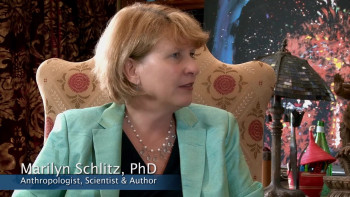 Death Makes Life Possible (2015) download