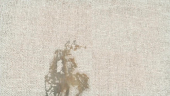 Decoding Turner (2023) download