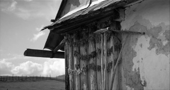 Dem Himmel ganz nah (2010) download