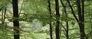 Deux jours avec mon père (2014) download
