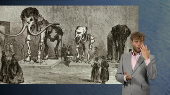Dinosaurs, Myths and Monsters (2011) download