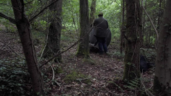 Distort (2025) download