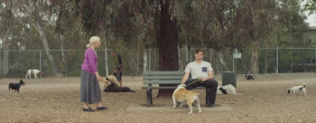 Dog Park (2017) download