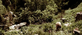 Dossier K. (2009) download