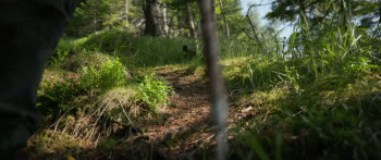 Downhill Skiers: Ain't No Mountain Steep Enough (2025) download